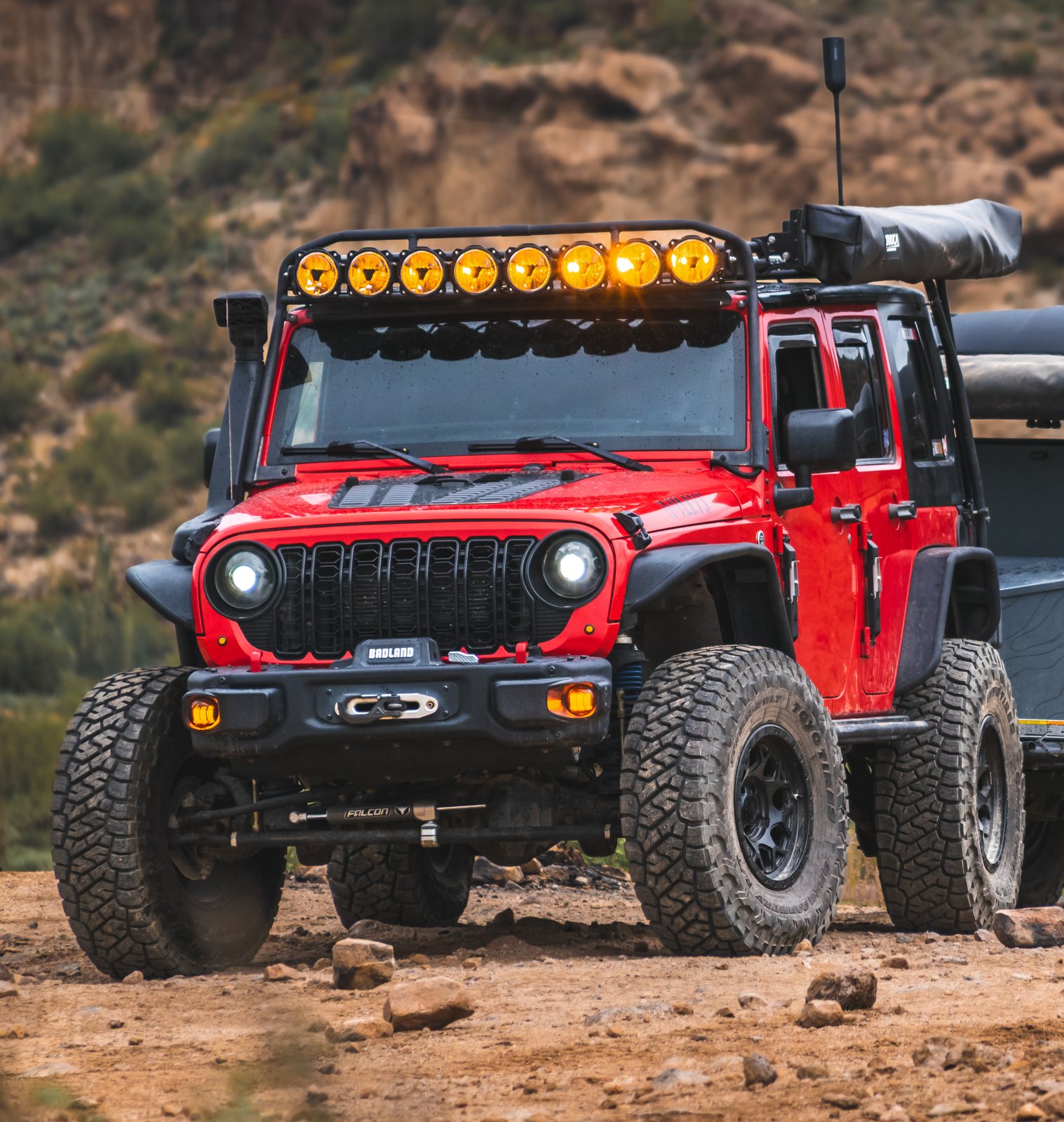 Clifford on a desert trail