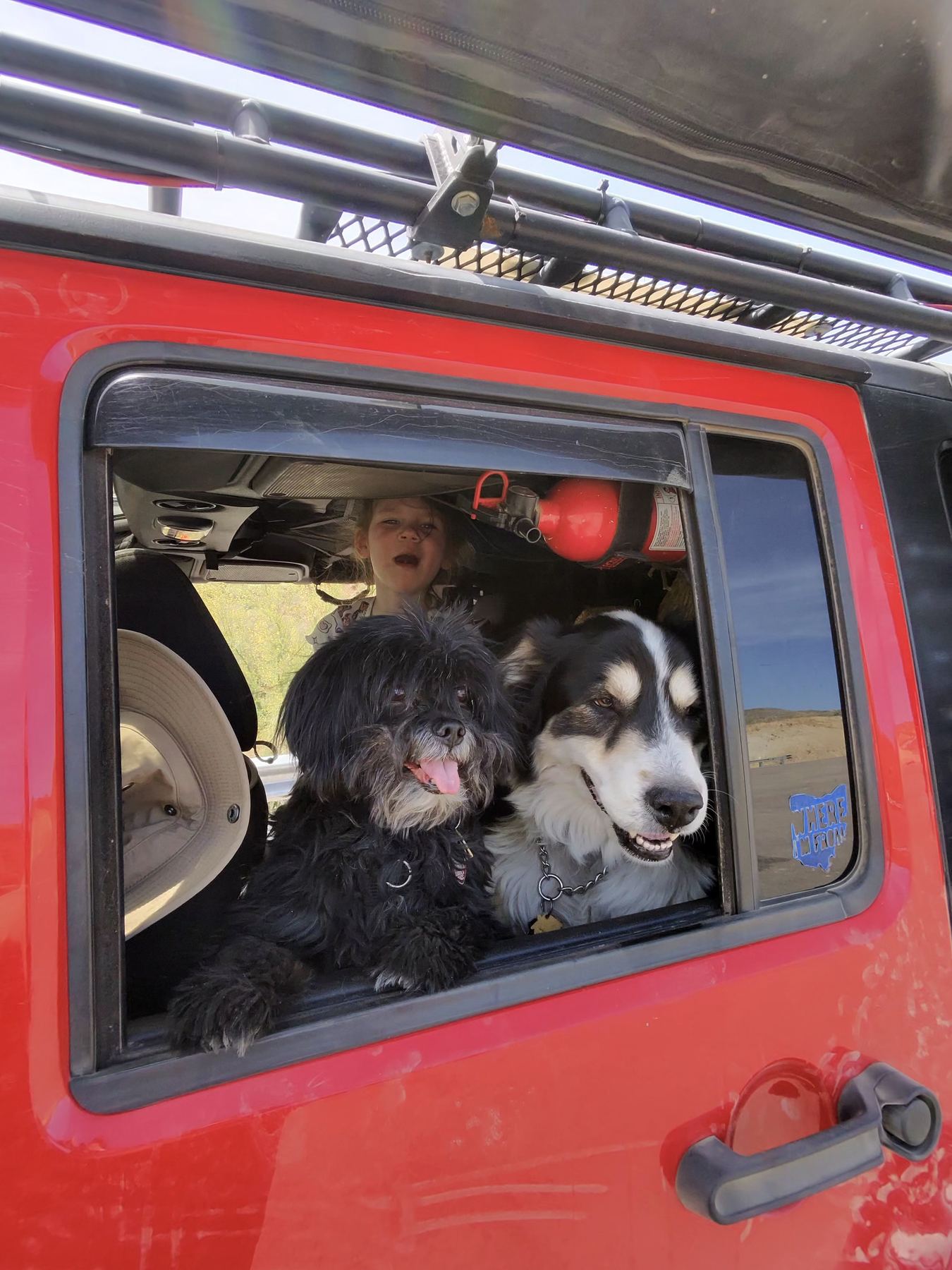The dogs riding in Clifford