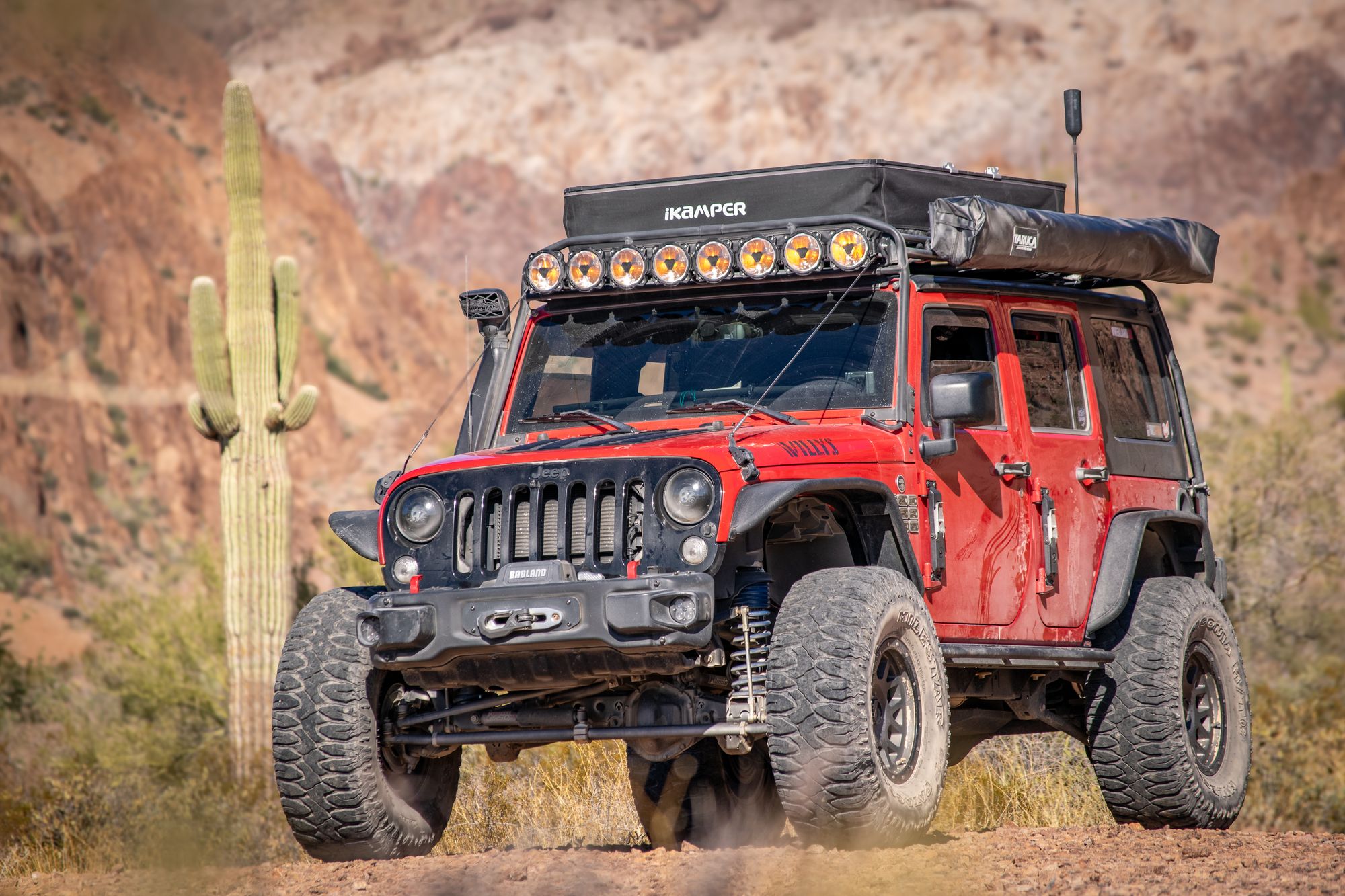 Clifford among saguaros in the Sonoran Desert