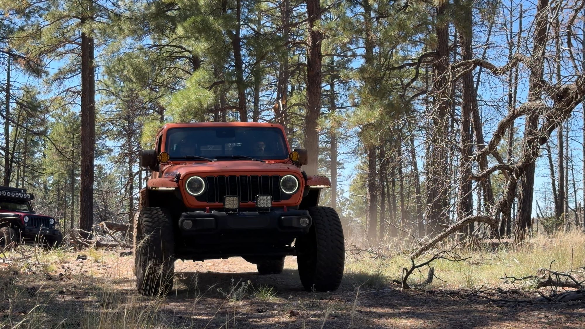 Orange Jeep Gladiator in the pines