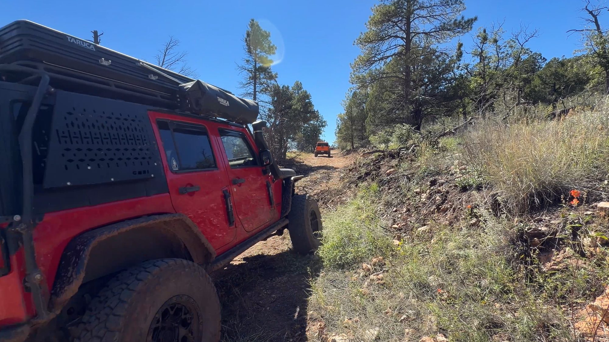 Red Jeep Wrangler with a rooftop tent driving past the cleared tree
