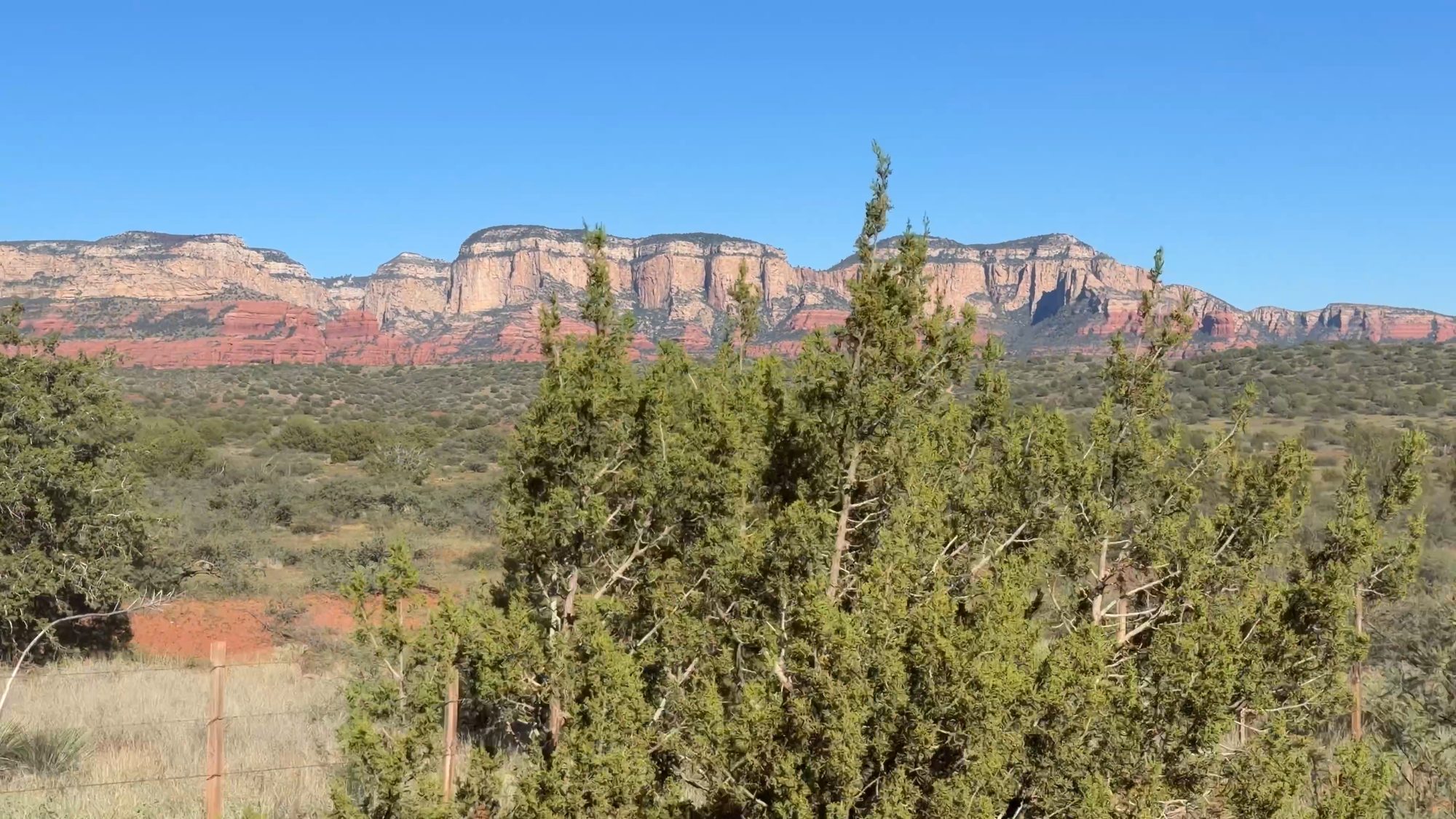Sedona red rock cliffs above green juniper