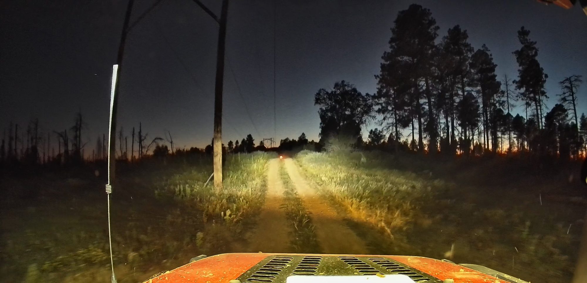 Jeep headlights and light bar on a forest road at night