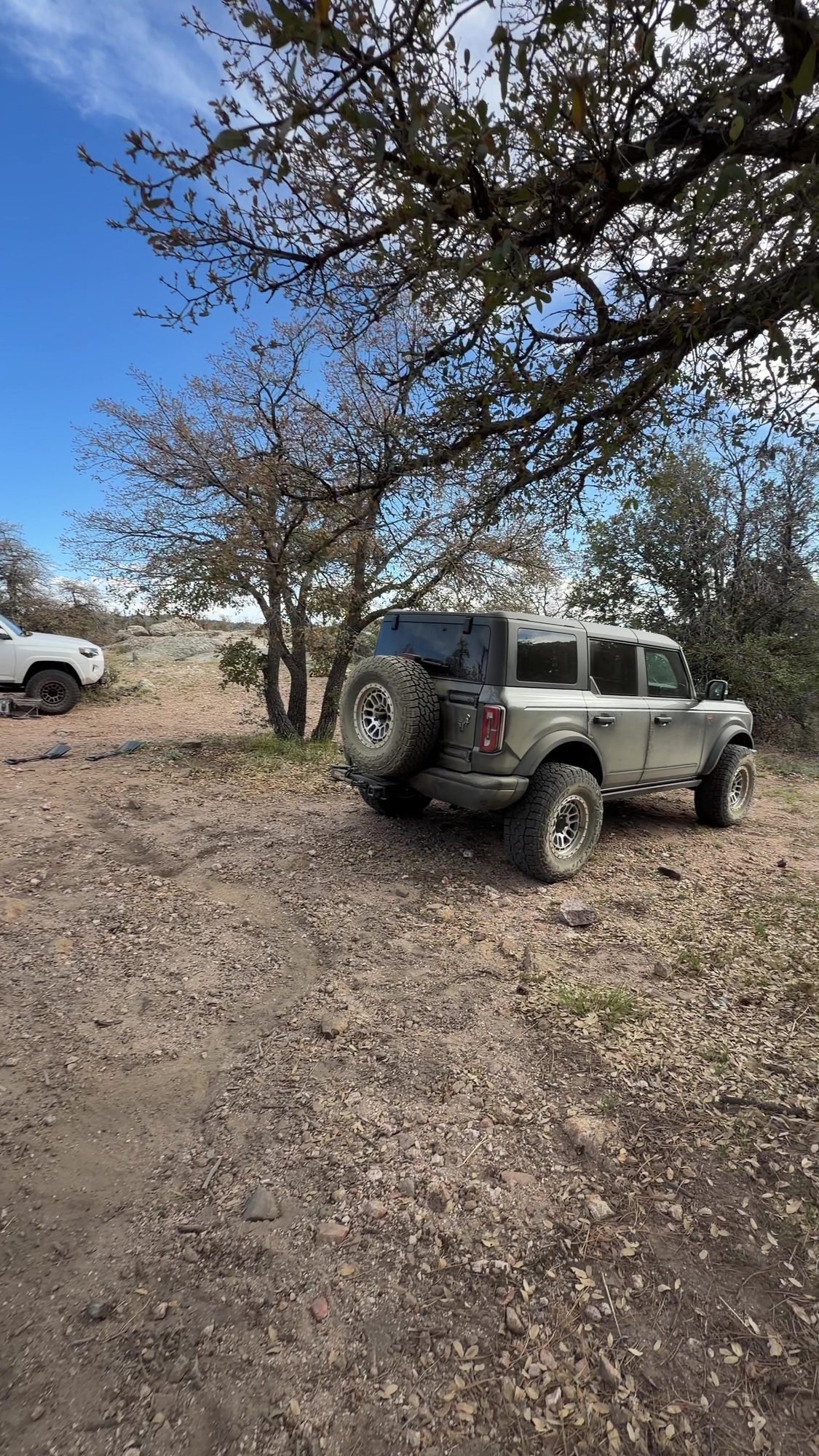 White Toyota 4Runner and gray Ford Bronco parked at a dispersed camp among oak trees