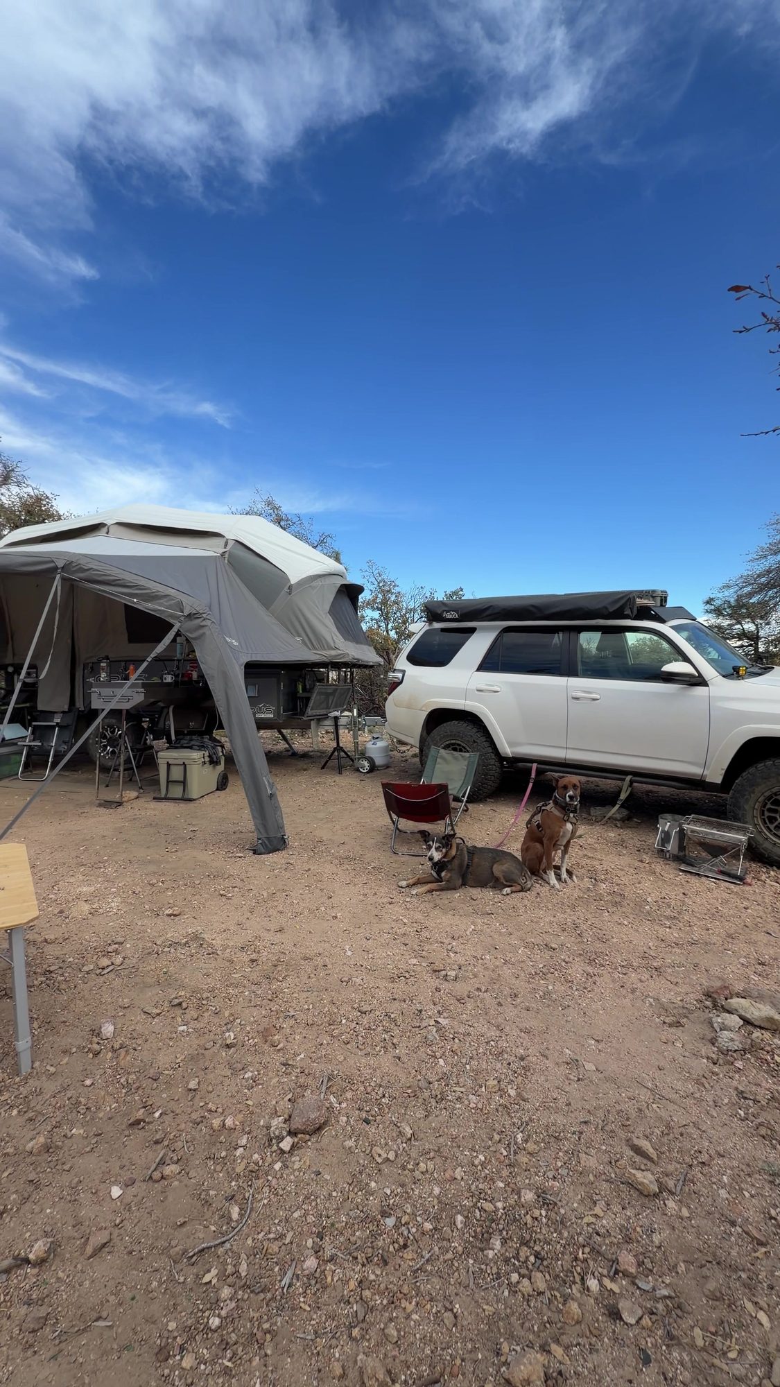 Opus off-road camper trailer set up next to a white Toyota 4Runner with dogs lying in the shade
