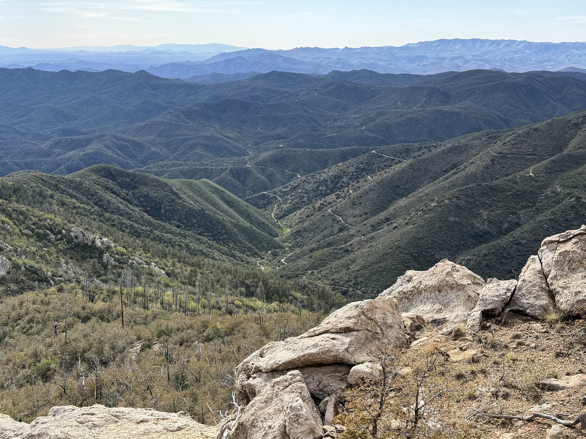 View from a rocky overlook down a forested canyon toward distant desert ranges