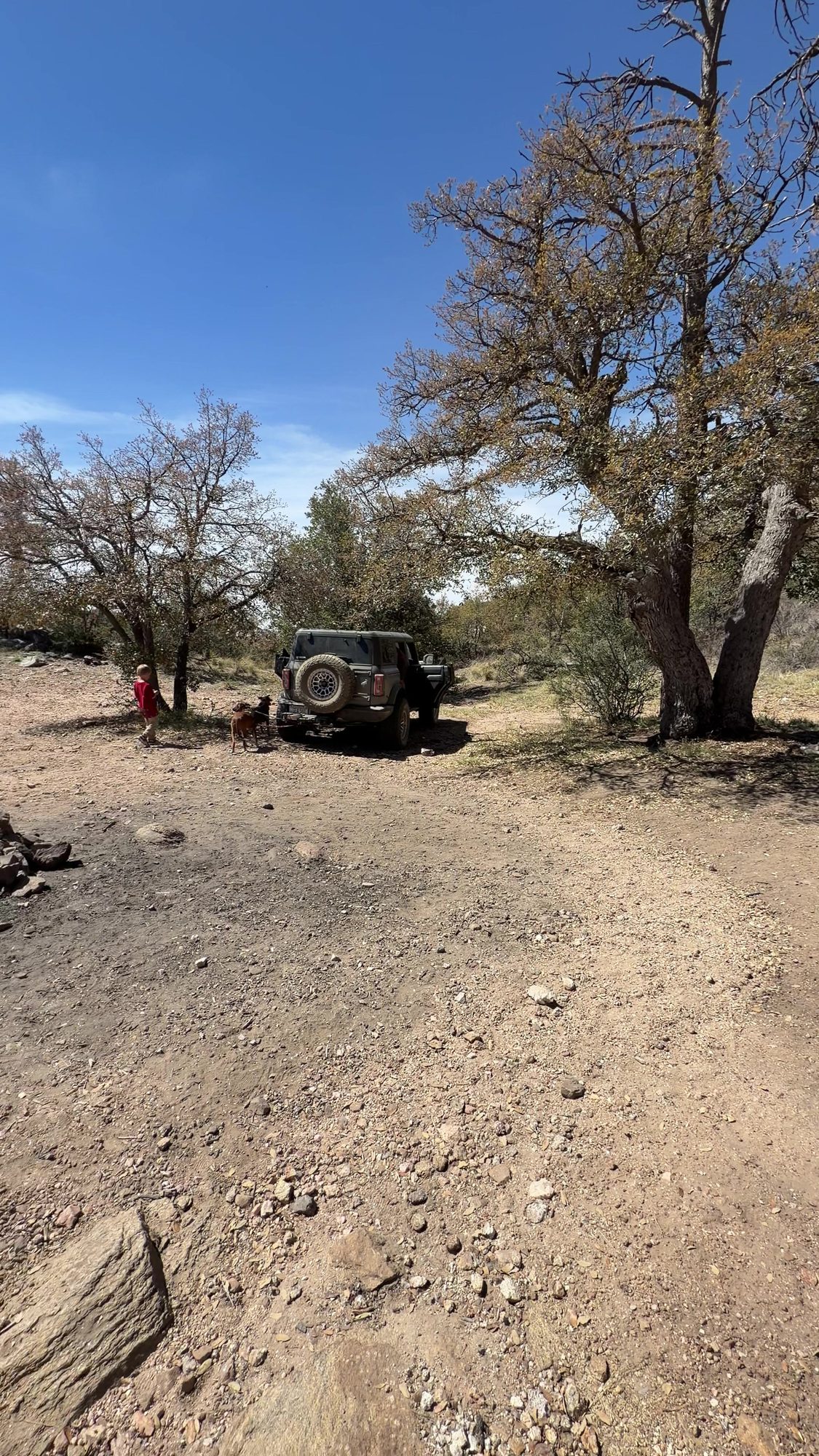 Empty dispersed campsite with a rock fire ring after pack-up